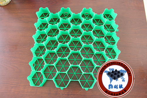 塑料植草格http://www.taianzhicaoge.com/