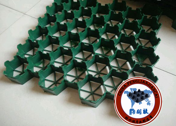 塑料植草格http://www.taianzhicaoge.com/