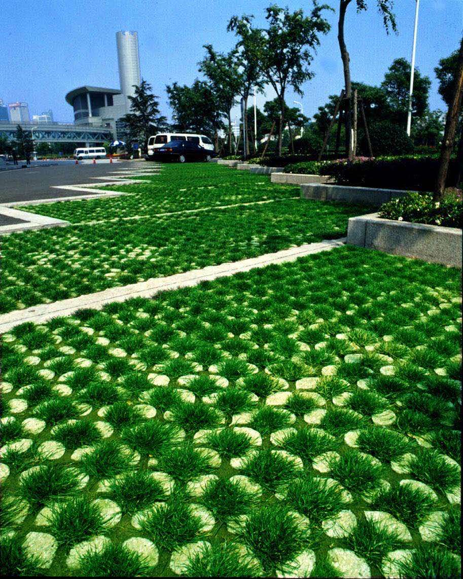 开封植草格,菏泽塑料植草格